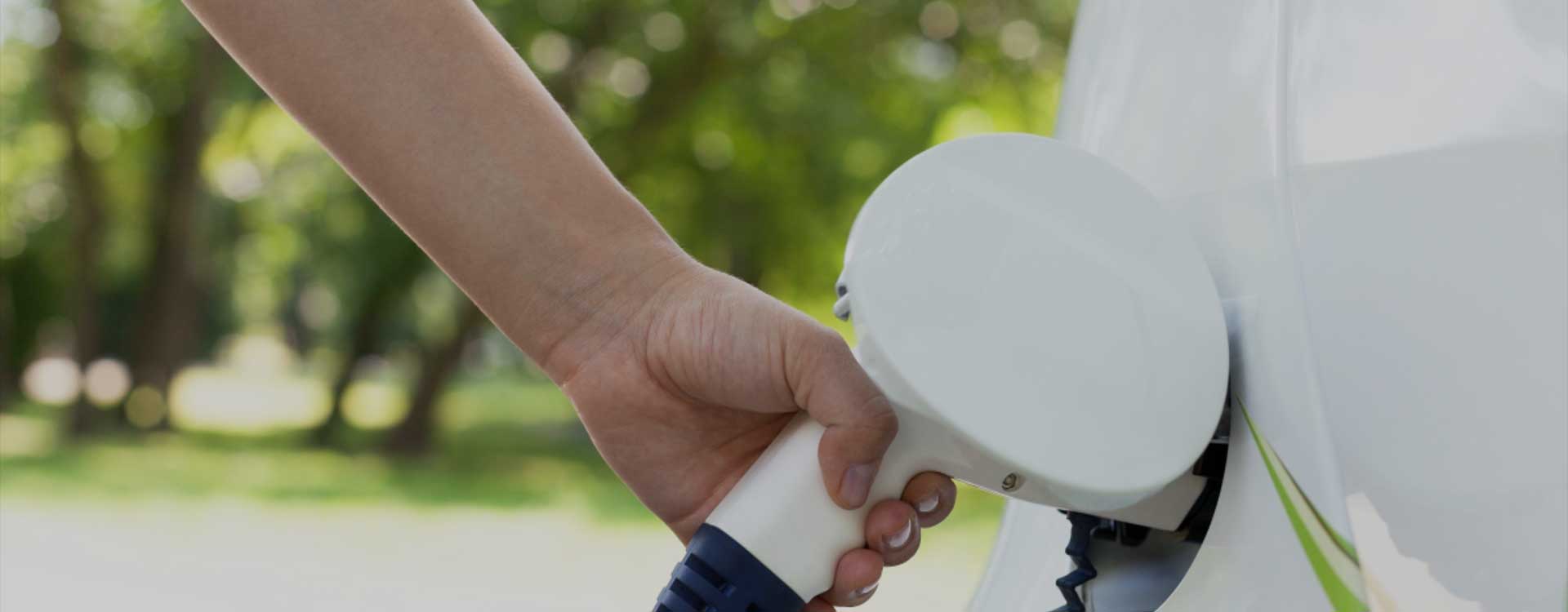 ¿Cuáles son las diferencias entre la batería de litio al por mayor y la batería regular?