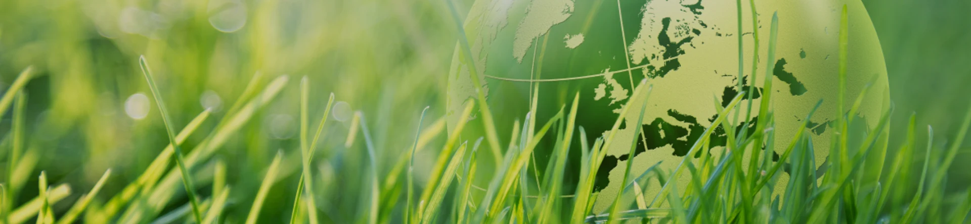 Transición de almacenamiento de litio su energía a baterías de iones de litio sostenibles